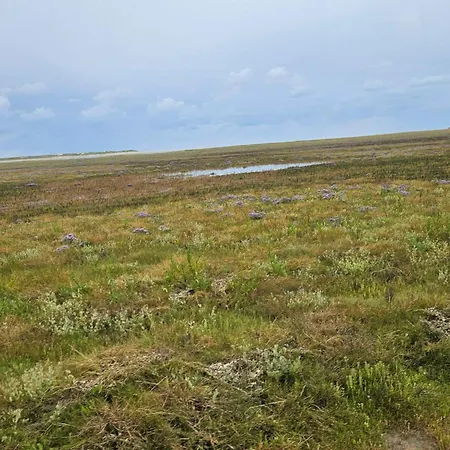 Seaside Haven In Vadehavet