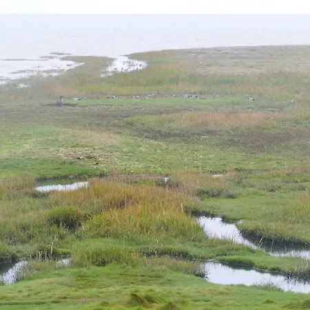 Seaside Haven In Vadehavet Σπίτι διακοπών Bolilmark